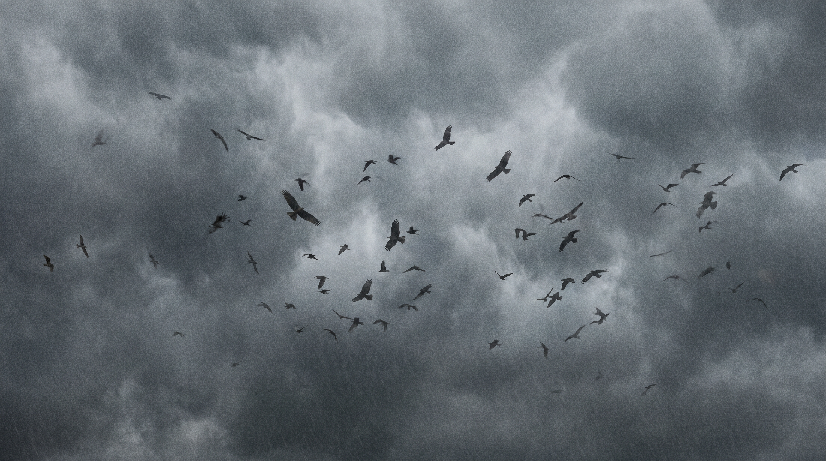 The Incredible Journey: How Birds Navigate the Globe — scene 4