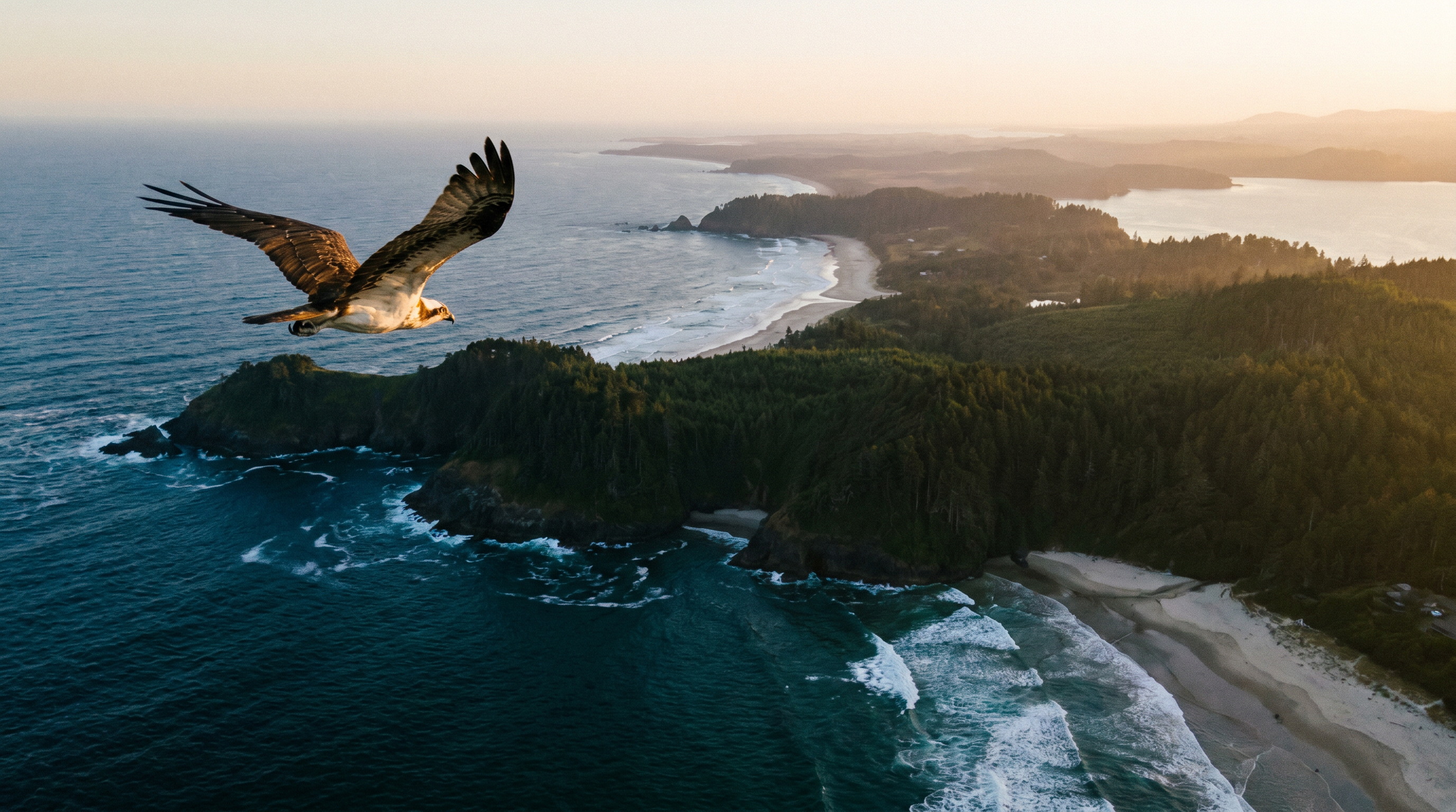 The Incredible Journey: How Birds Navigate the Globe — scene 5