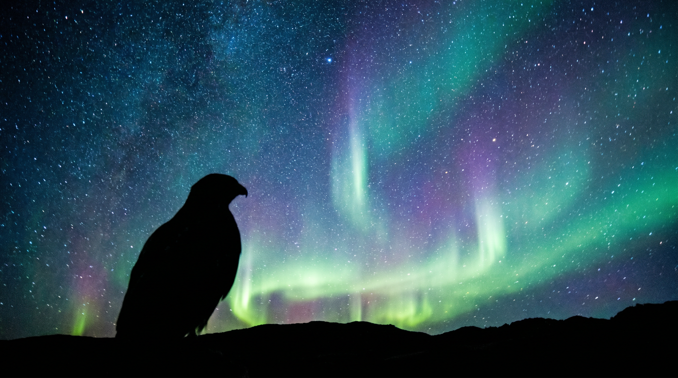 The Incredible Journey: How Birds Navigate the Globe — scene 7