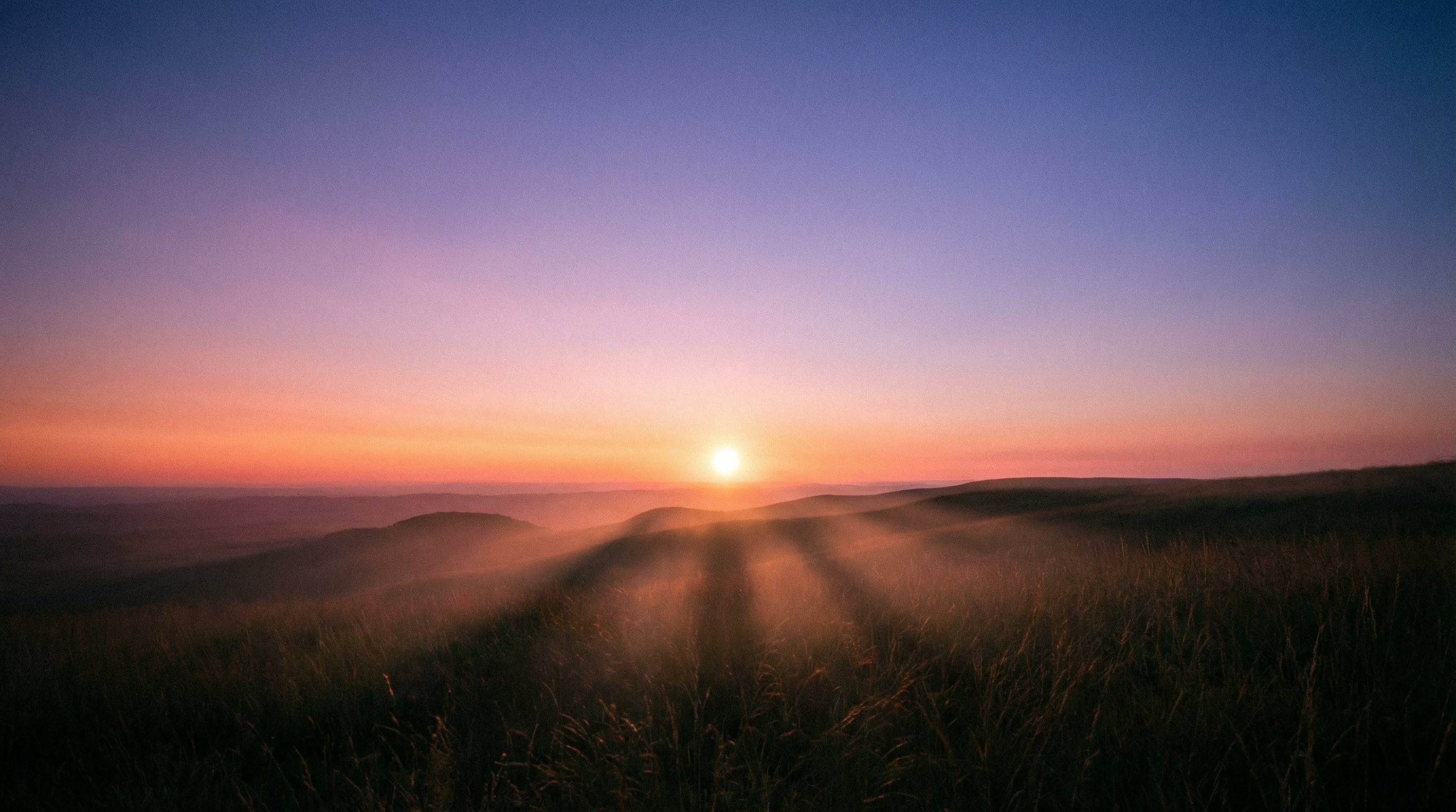 Unlocking the Power of Digital Agents — scene 7
