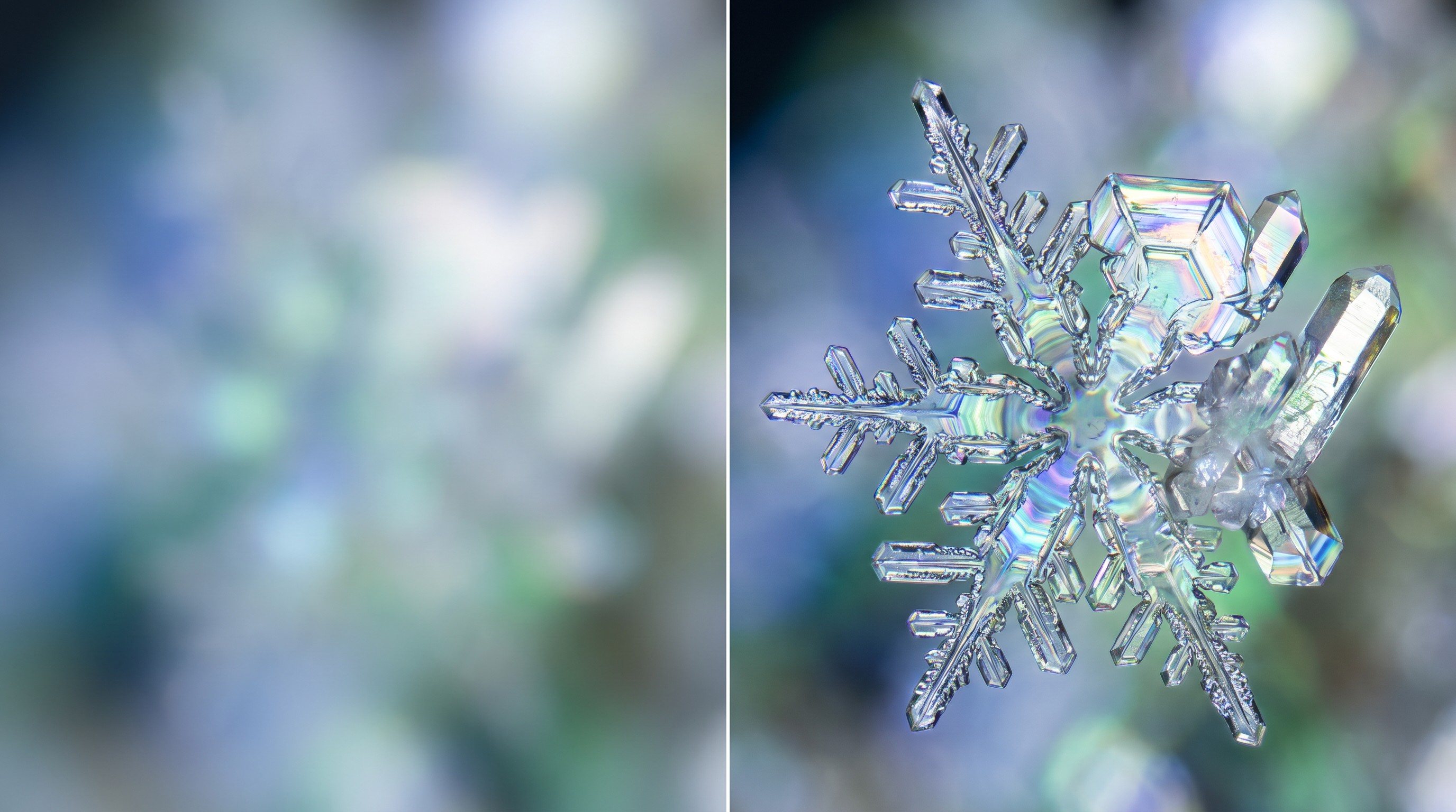 Compression and Intelligence: Decoding the Pattern — scene 6