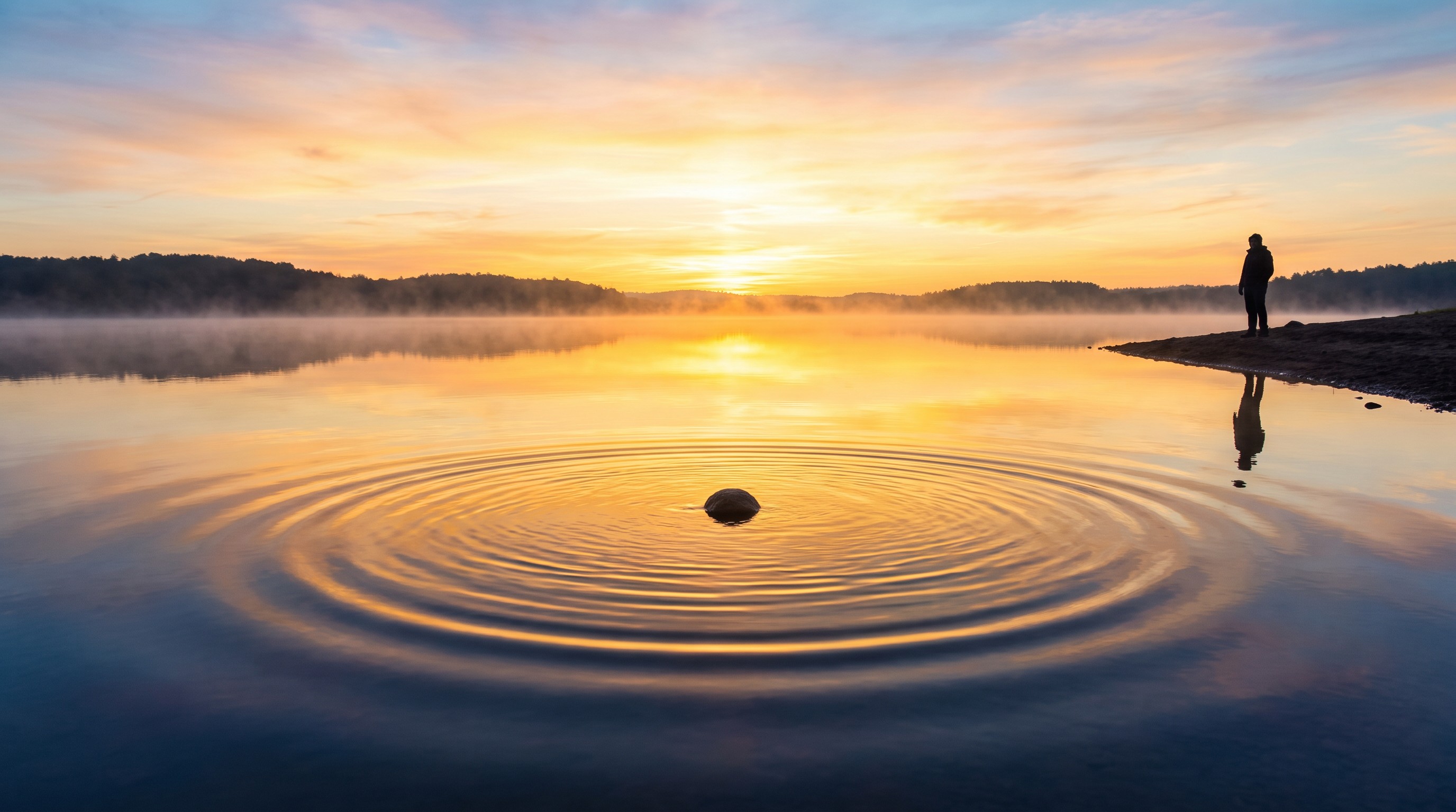 The Hidden Language of Music — scene 7
