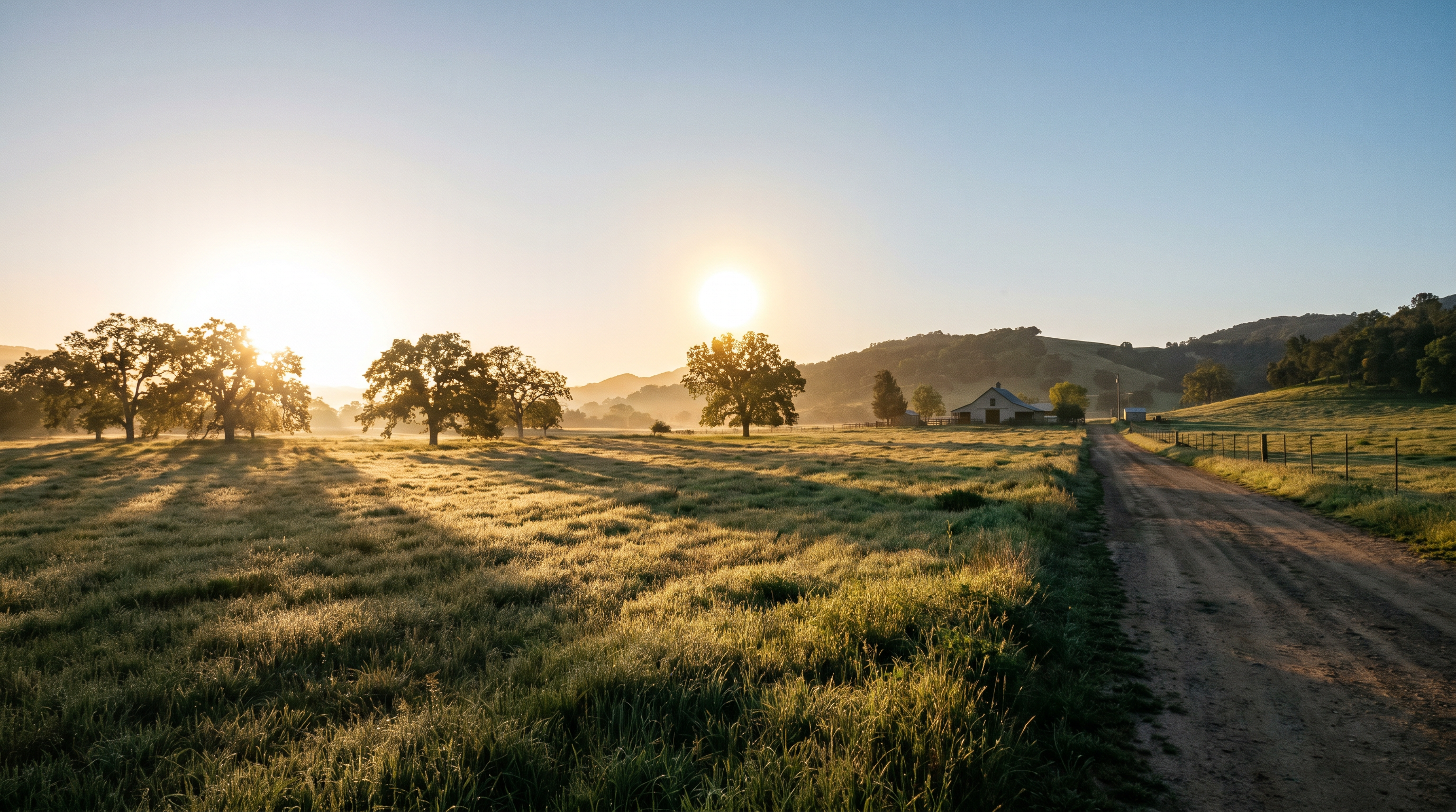 The Honeybee's Secret Treasure Map — scene 4