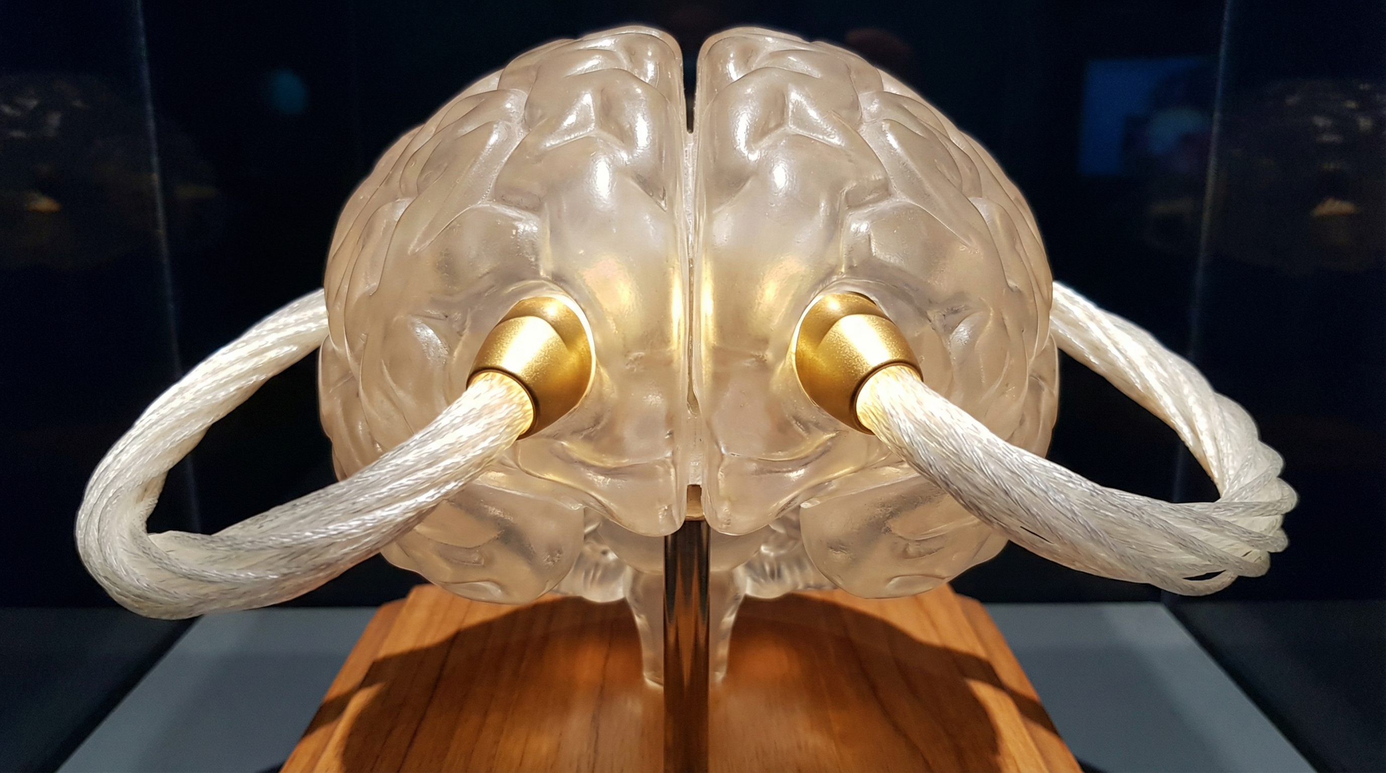 Mastering Your Inner Instincts — scene 2