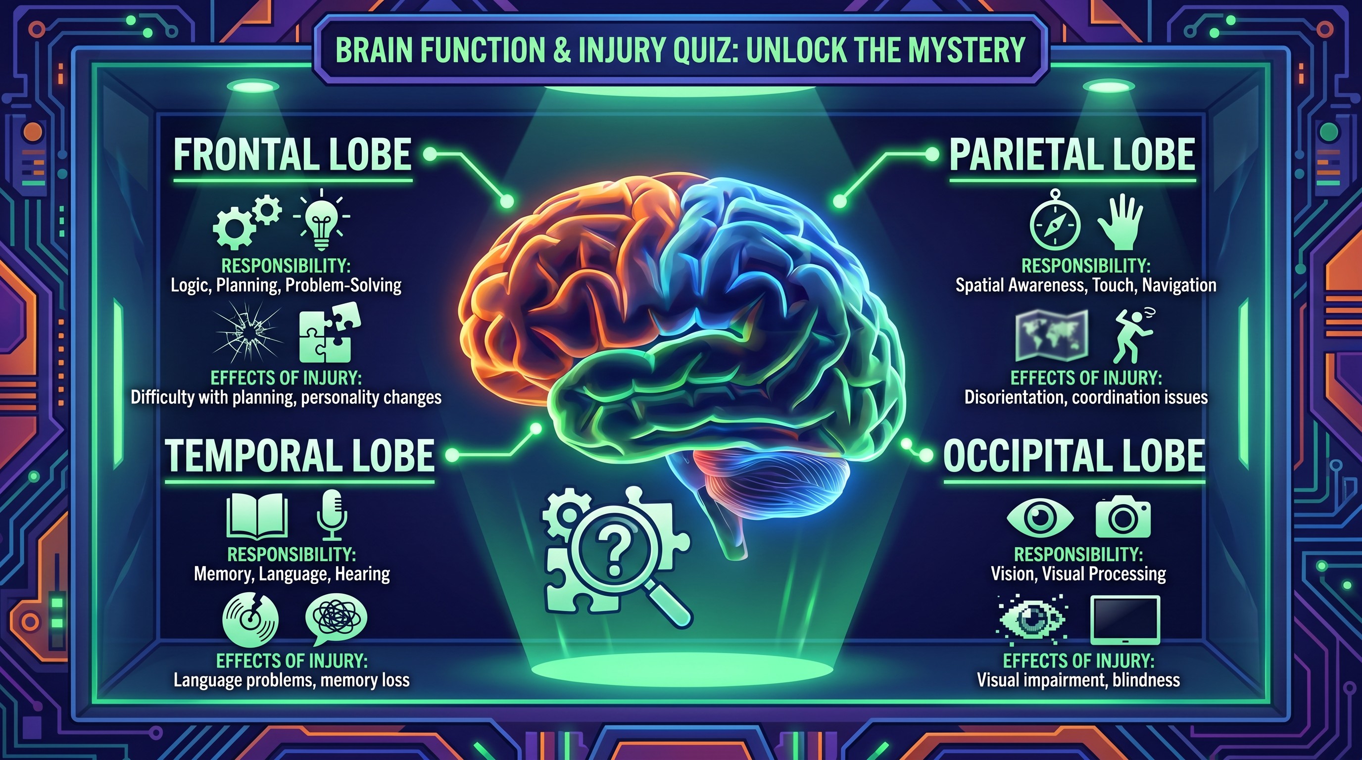 Mapping the Human Brain
