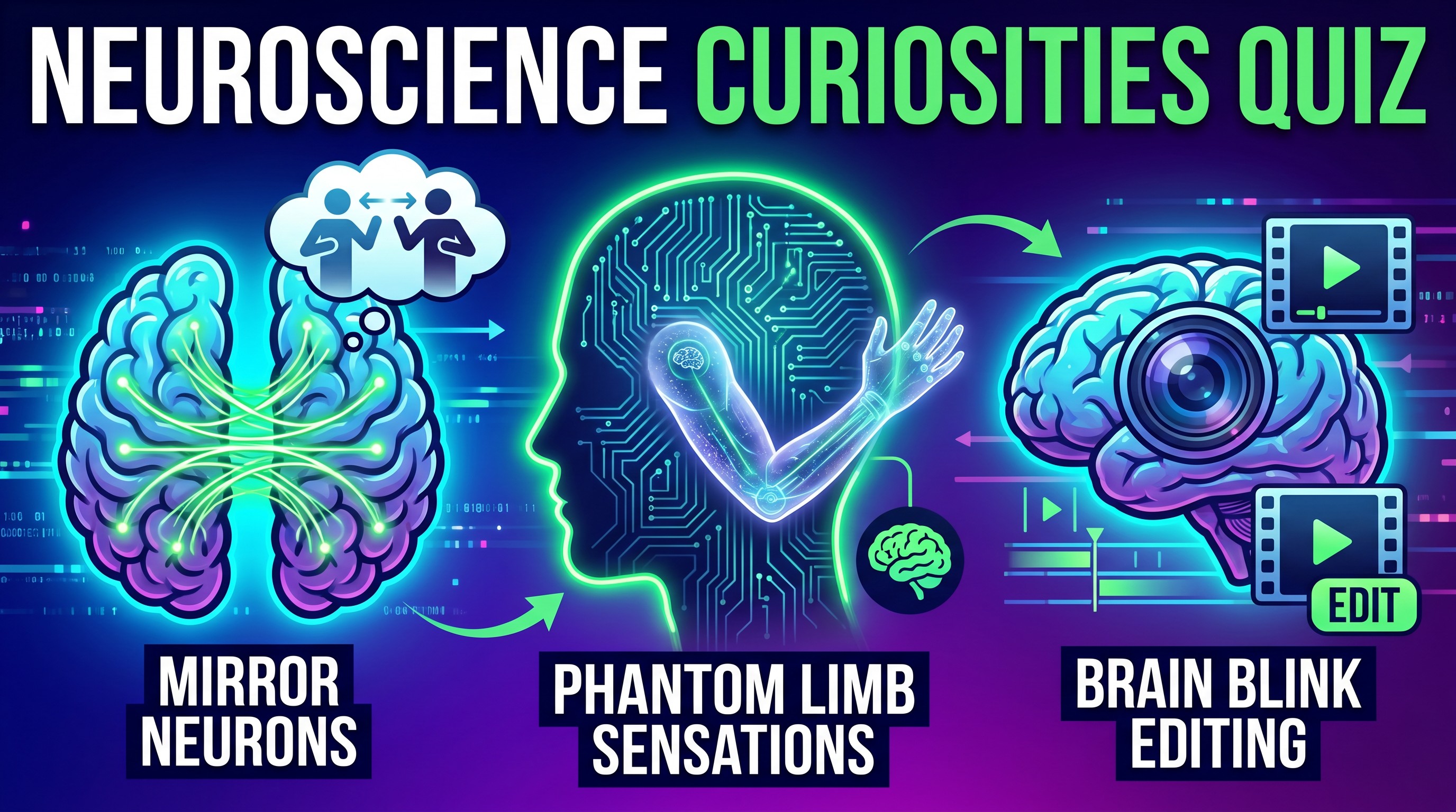 Neuroscience Enigmas