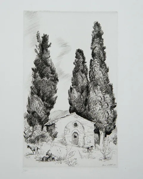 Mas provençal aux cyprès