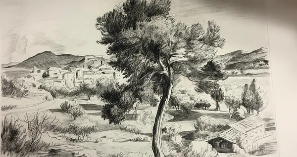 Paysage provençal au grand pin