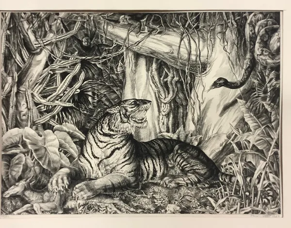 Tigre dans la jungle