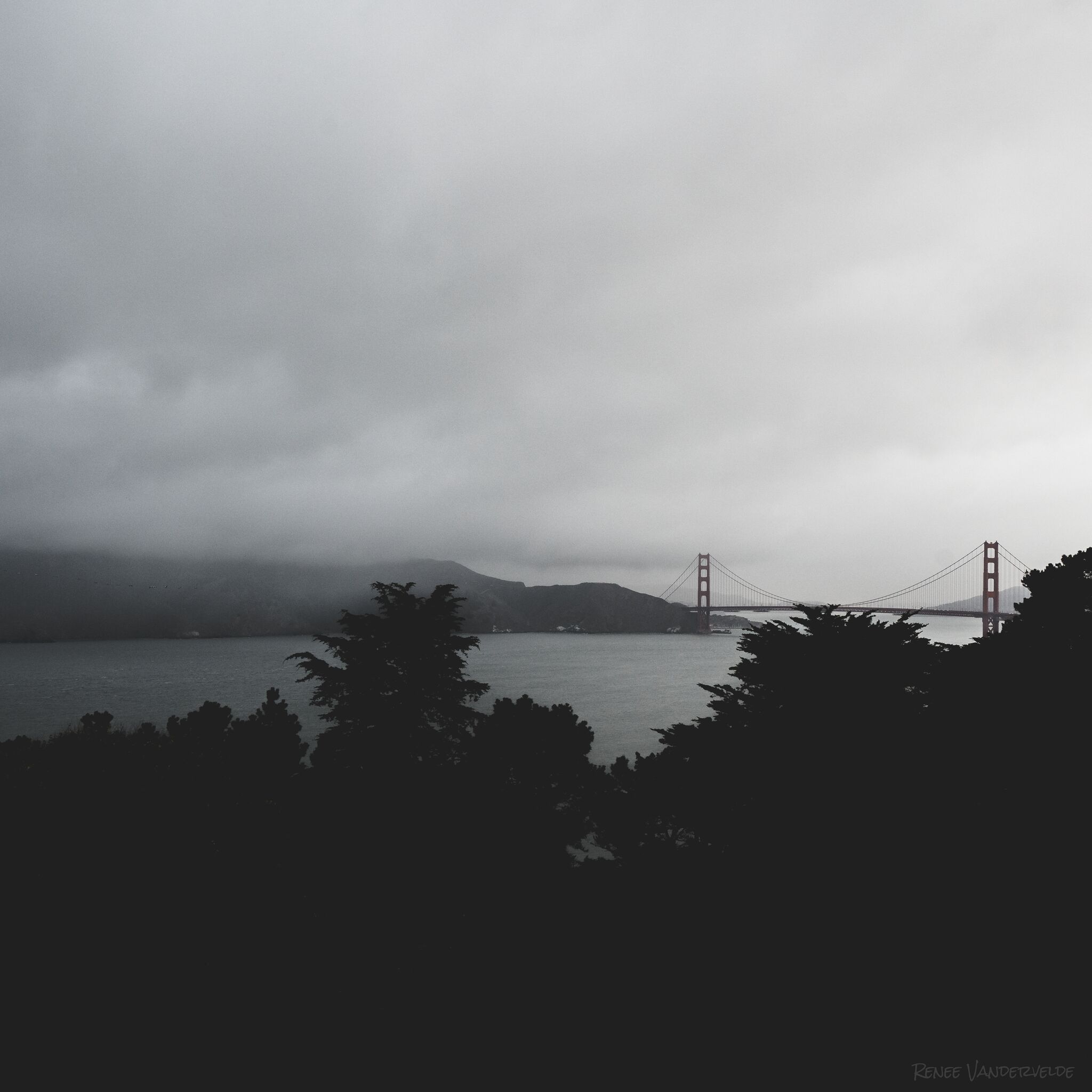 Photo of the golden gate bridge on a foggy and rainy day, silhouetted by the trees in the foreground.