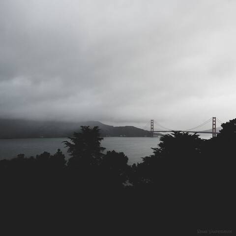 Photo of the golden gate bridge on a foggy and rainy day, silhouetted by the trees in the foreground.