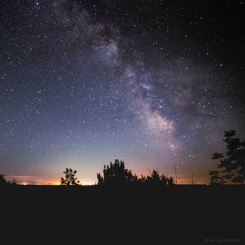 Photo of the skyline, with the red of sunset barely visible behind the silhouette of trees and the milky way galaxy visible overhead.