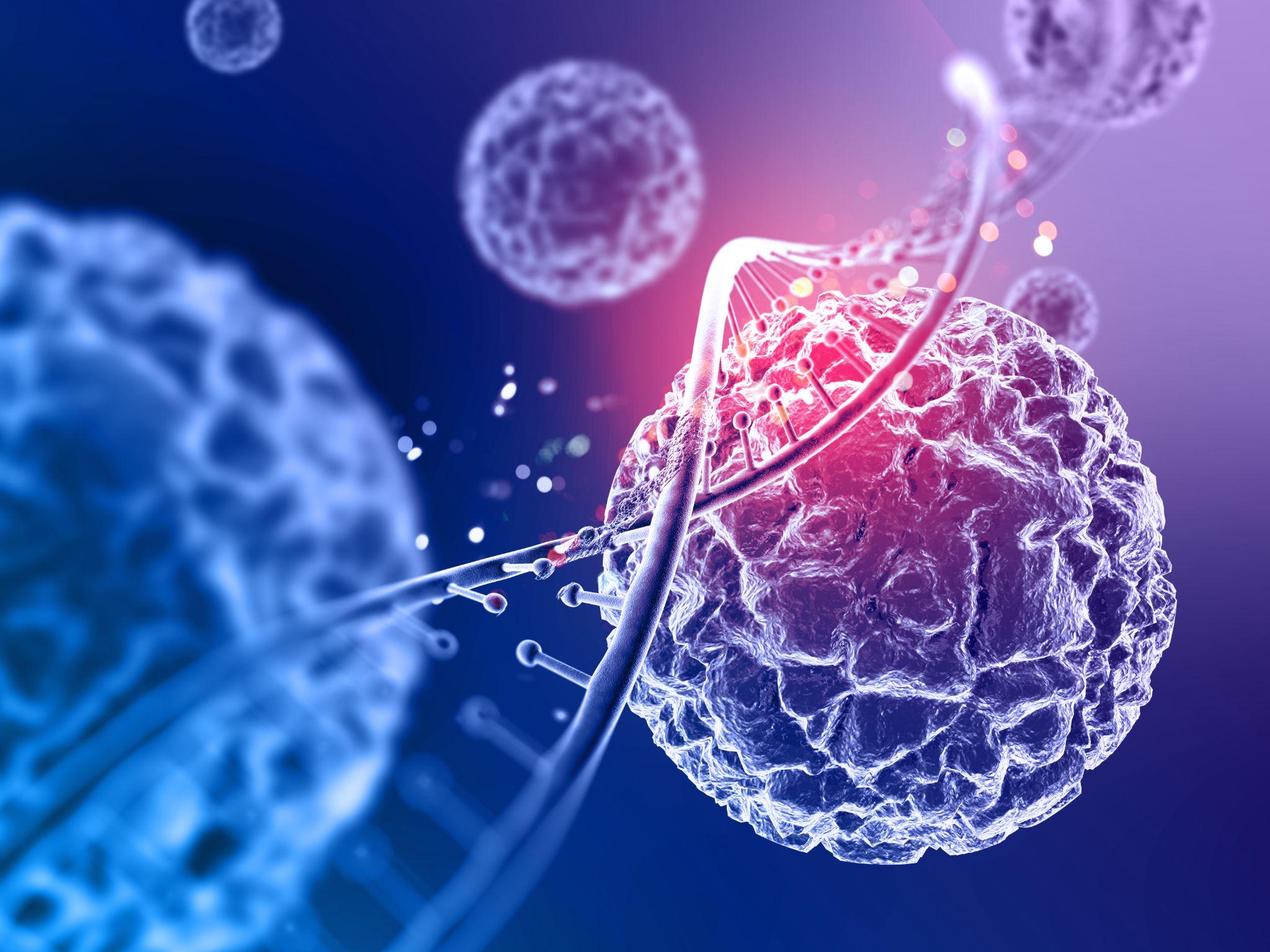 DNA and RNA structure.
