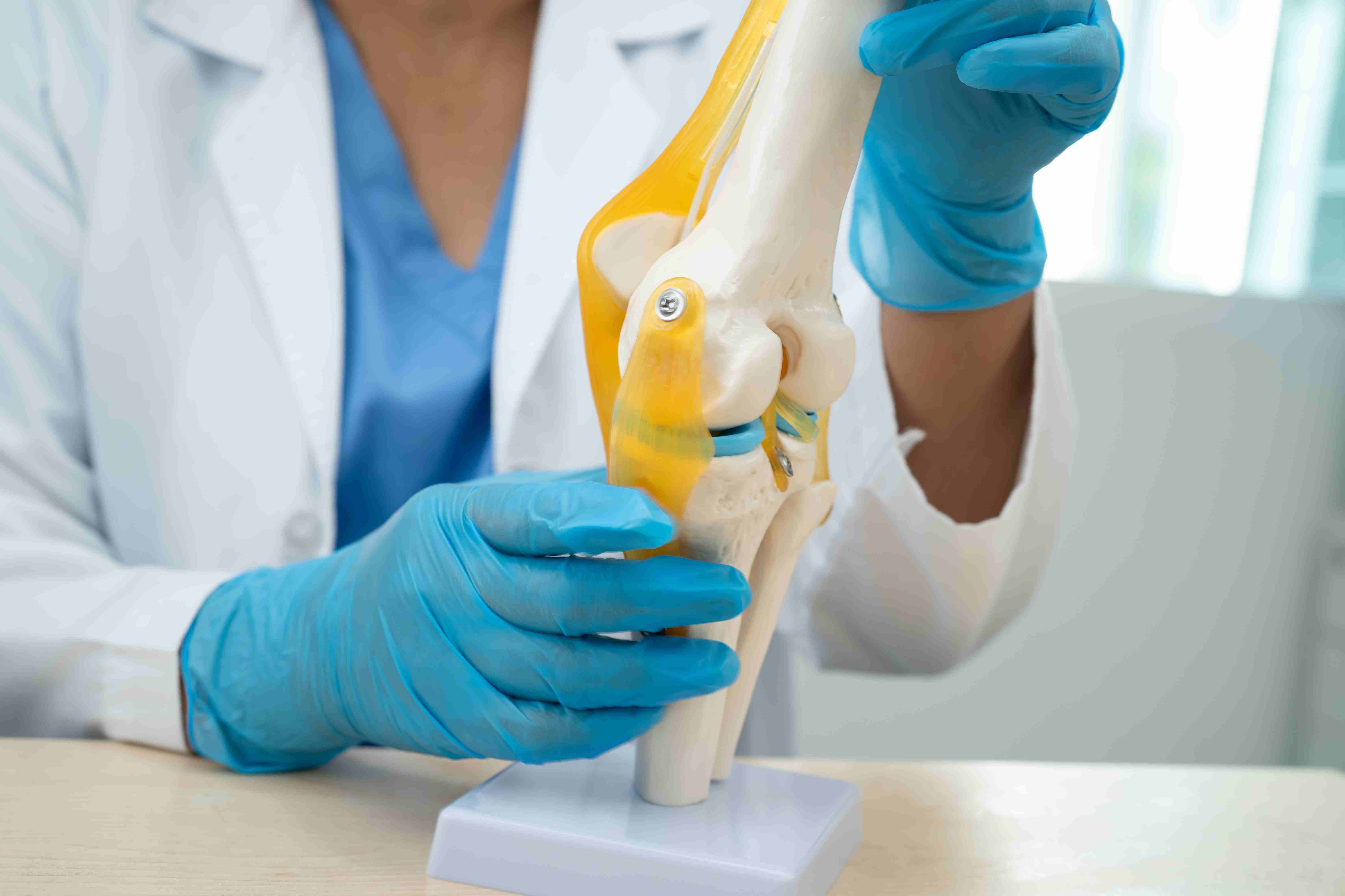 Surgeon showing a knee joint model to the patient while explaining types of knee surgery, including partial and total knee replacement.