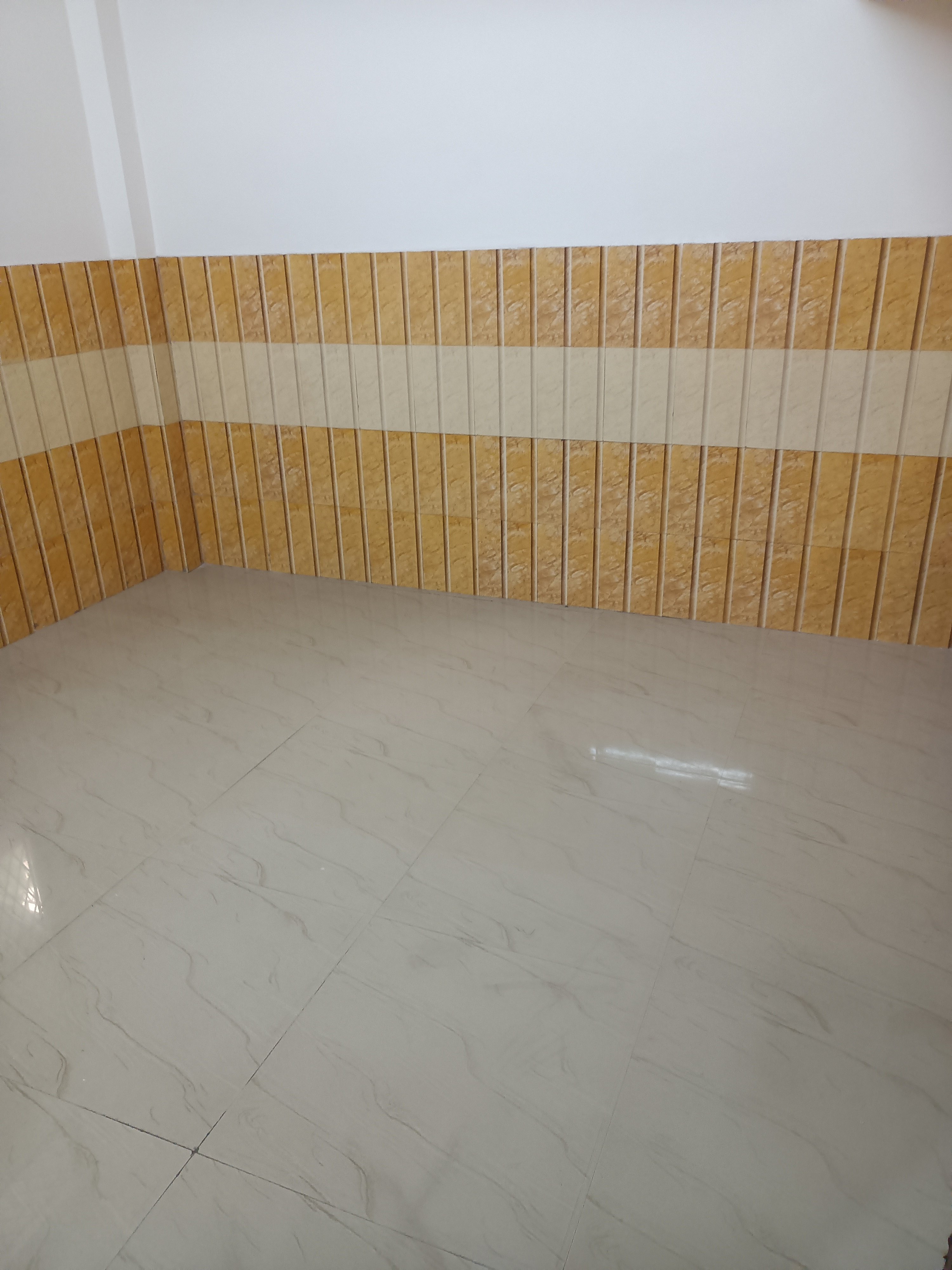 Spacious 3-Bedroom Flat for Rent in Mayur Vihar Phase 3, Delhi — photo 1