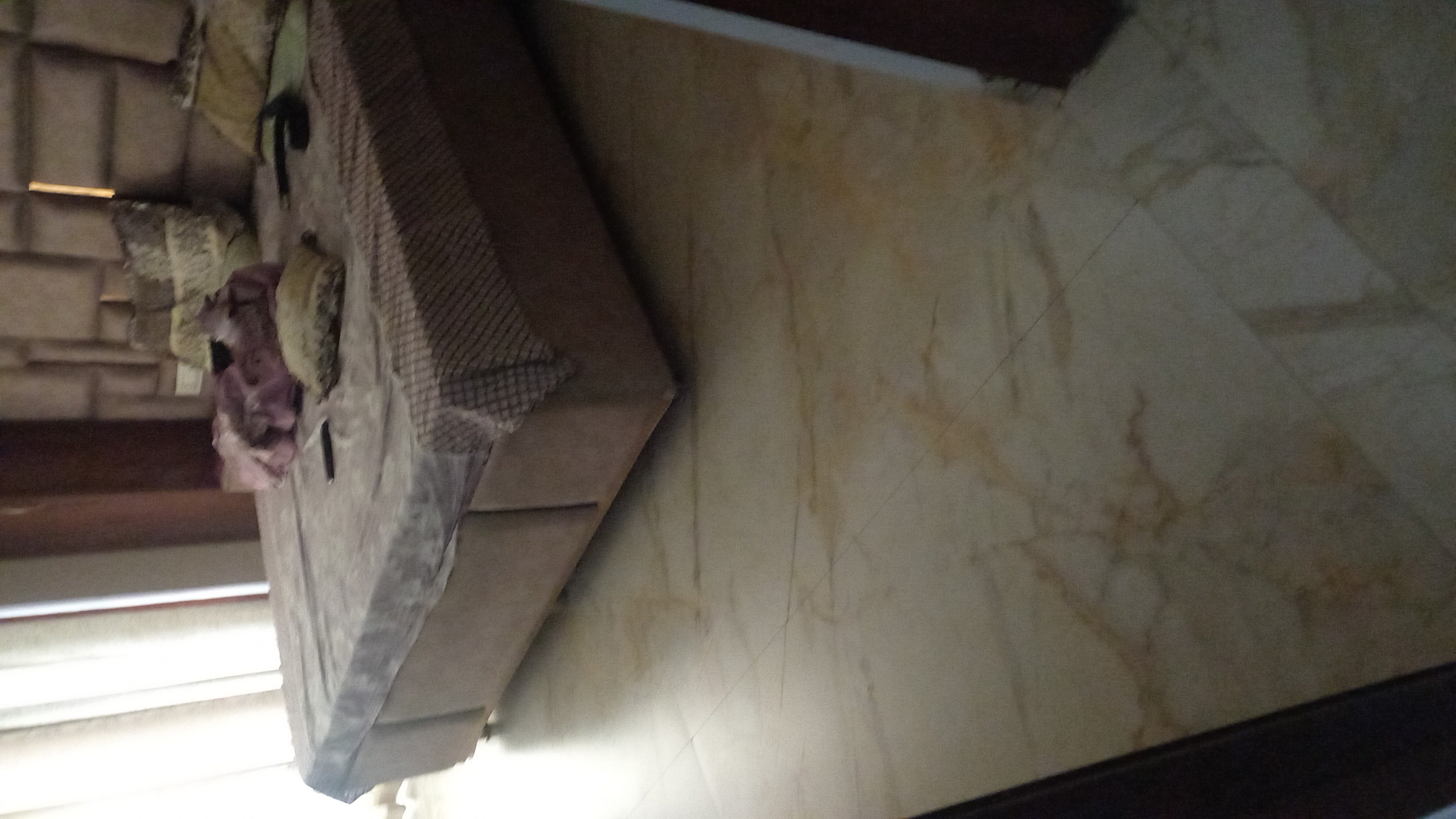 3BHK Semi-furnished House for rent