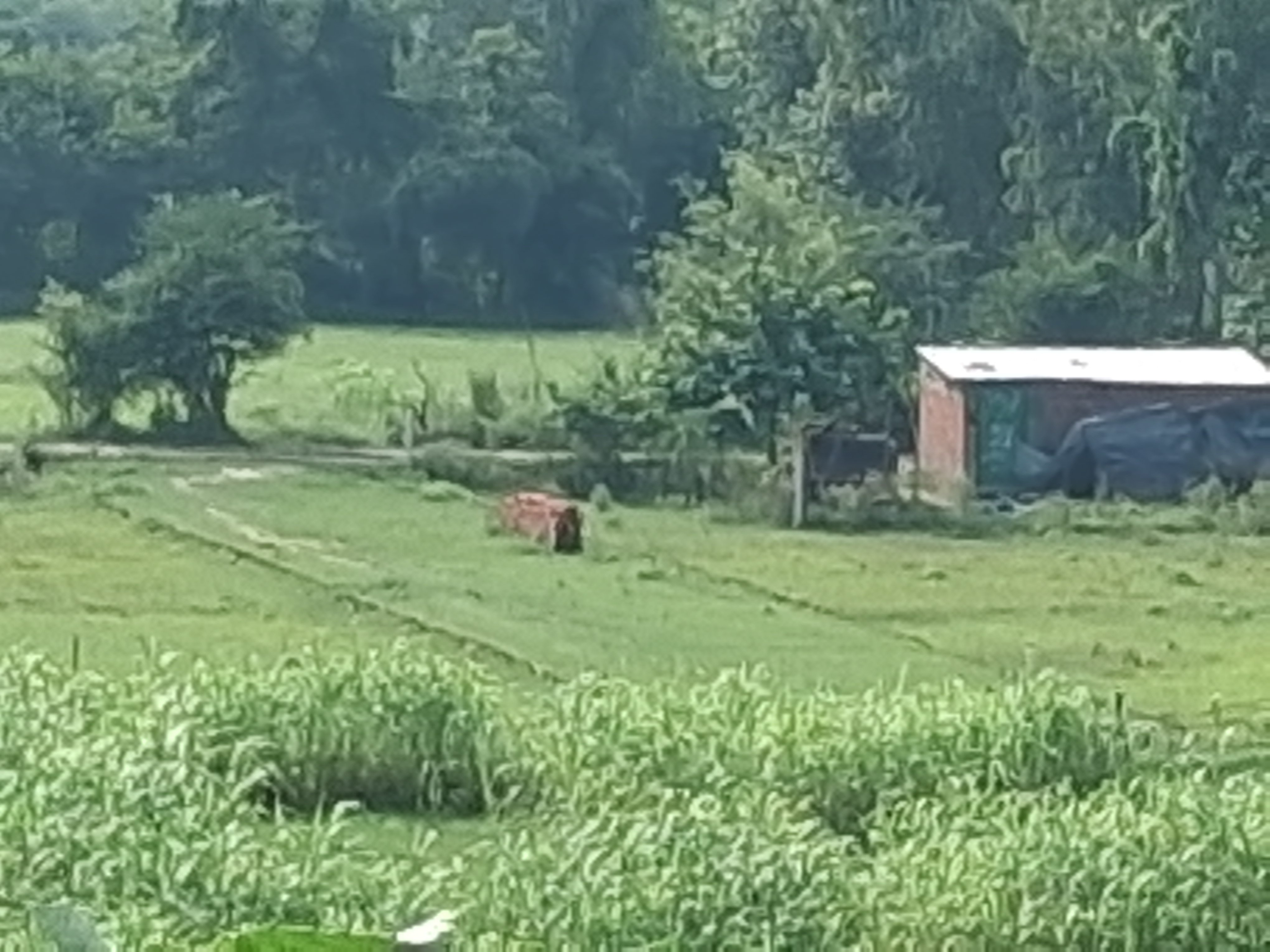 Prime Plot for Sale Near Sitapur Road