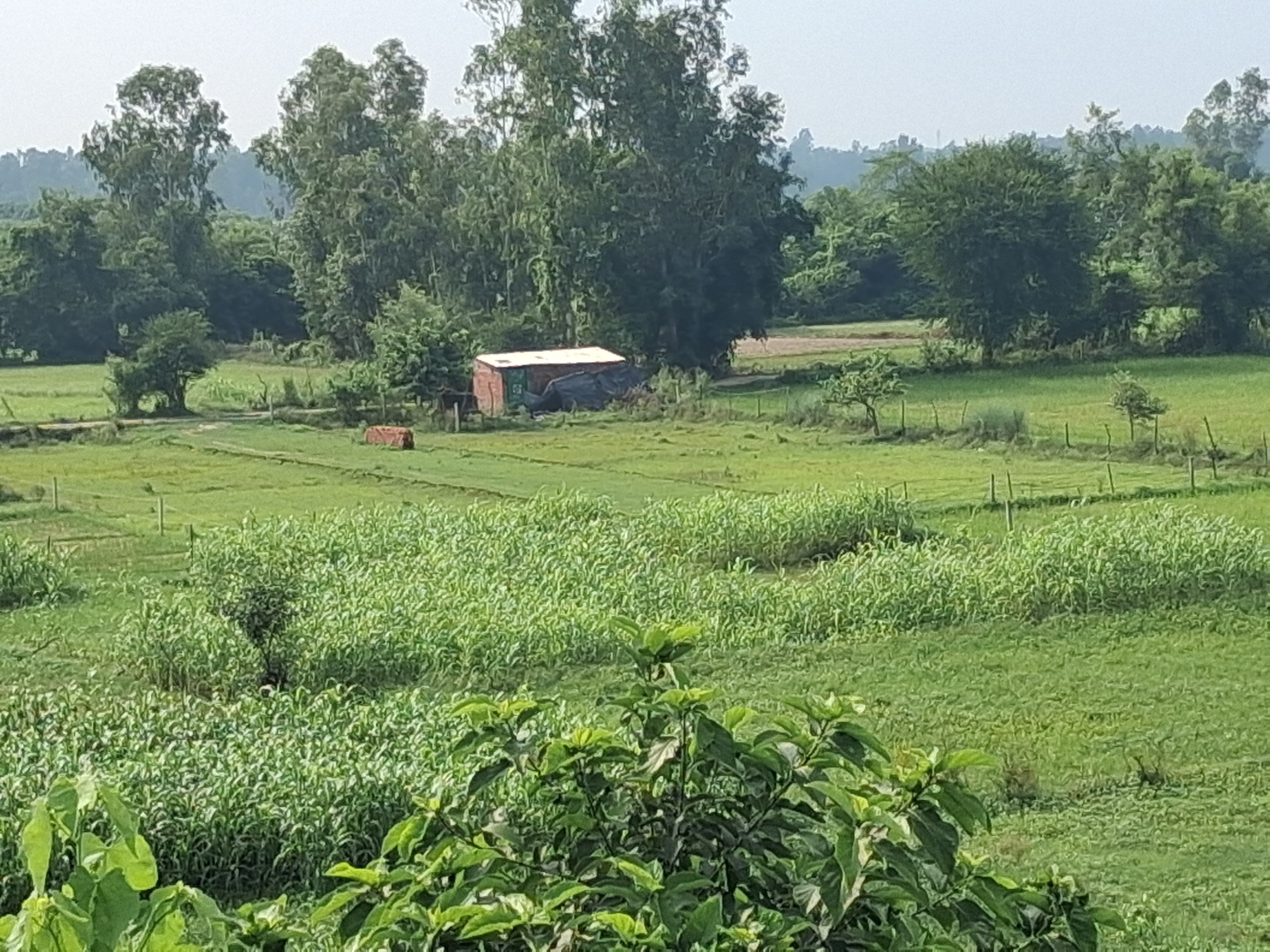 Prime Plot for Sale Near Sitapur Road — photo 1
