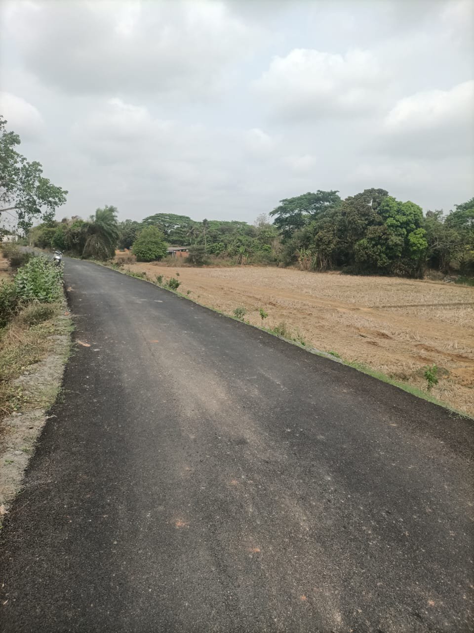 Expansive 40,000 sq ft Plot Available for Rent in Bhingarpur — photo 1