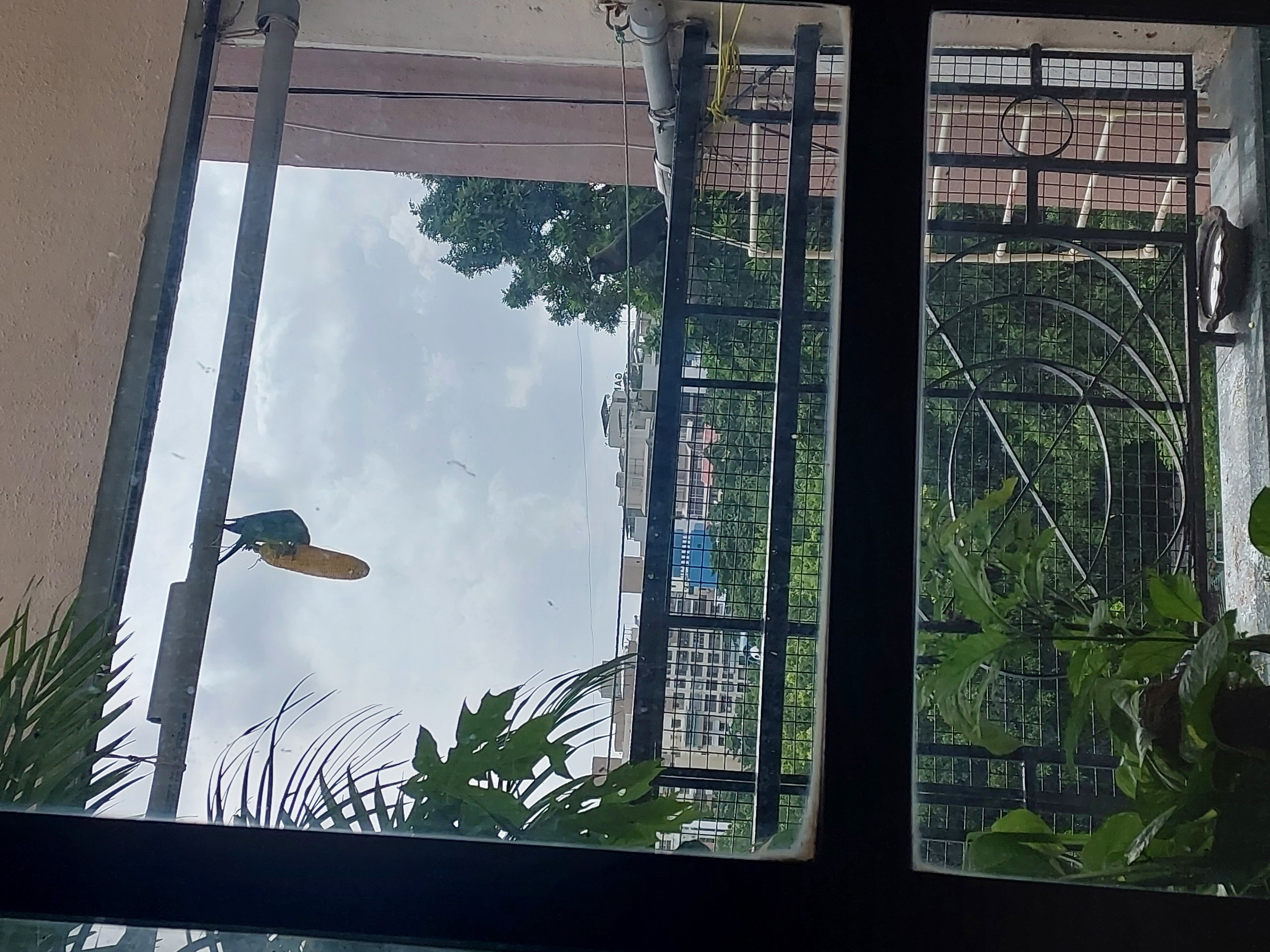 3BHK Furnished Flat for rent — photo 1