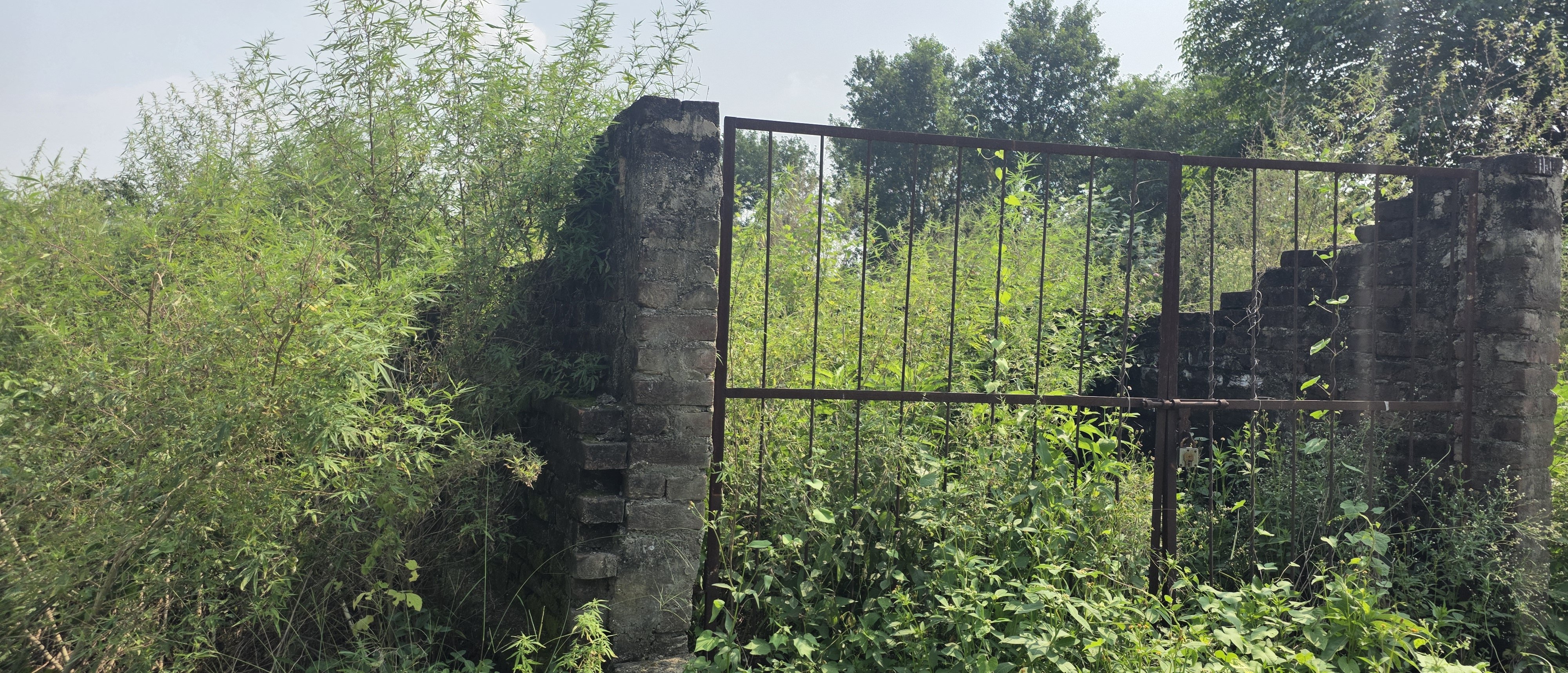plot for sale — photo 1