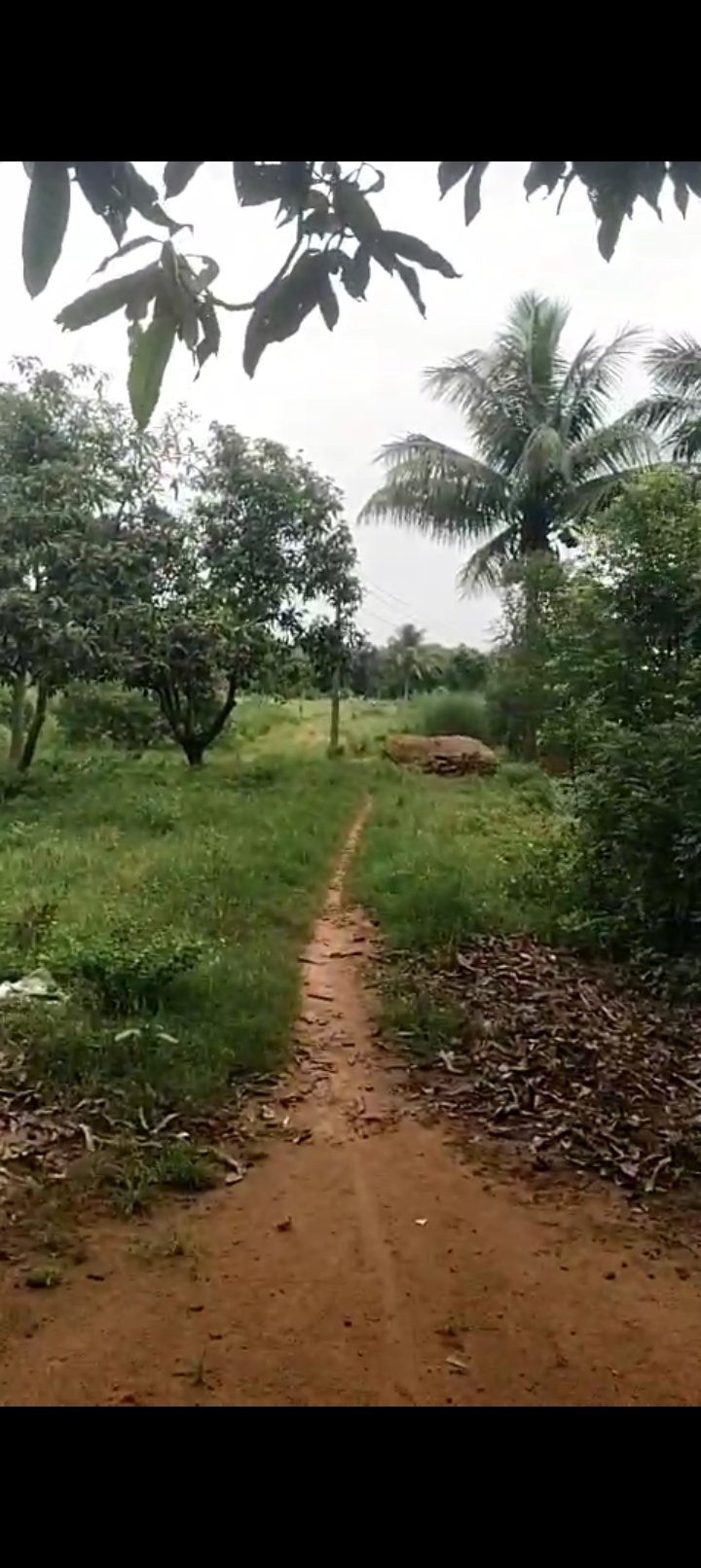 Land for sale in Location Bantala — photo 1
