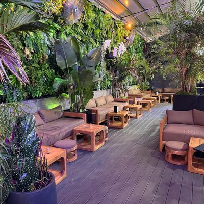 Rooftop at The Delancey 