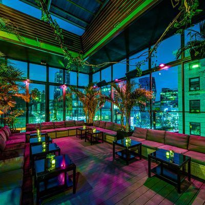 The DL - The Rooftop (Third Floor) image 2