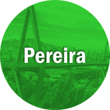 pereira