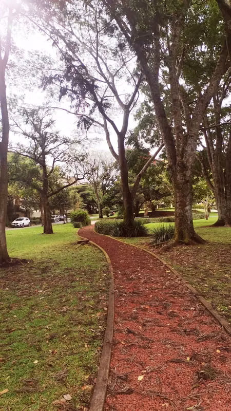 Moderna casa en condominio con amplias amenidades en Heredia 8