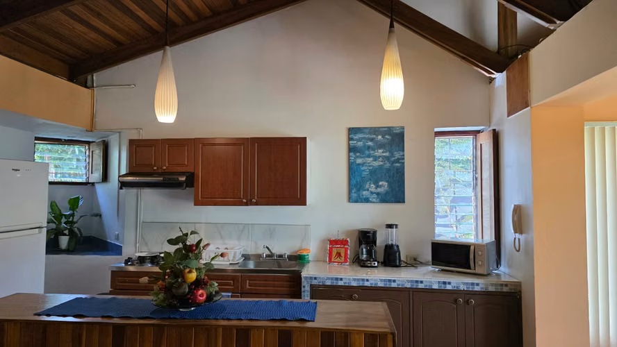 Oasis Natural en Escazú Centro – Todo Incluido & Pet-Friendly 14
