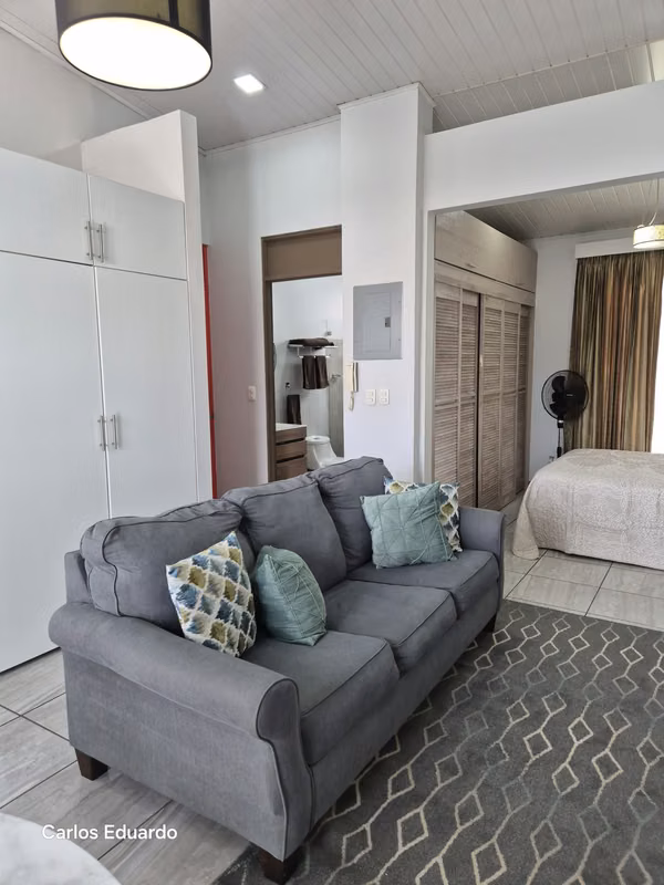 Hermoso apartamento amueblado en Guadalupe, Goicoechea 9