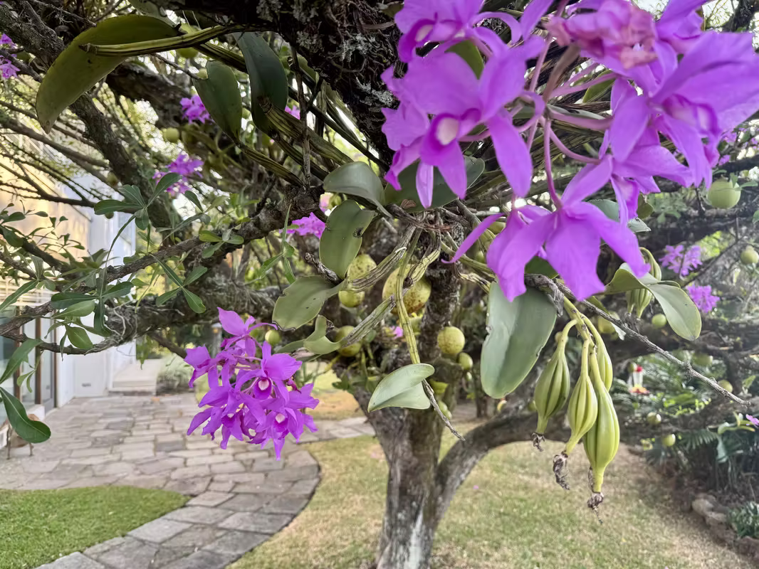 Amplia casa en Escazú con piscina y jardín 9