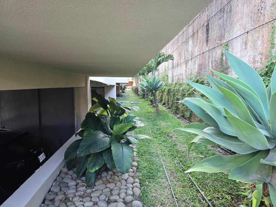 Apartamento 2 habitaciones en condominio Pinares, Curridabat 3