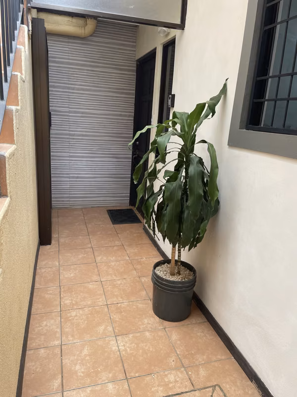 Amplio apartamento estudio a 5 minutos de Playas del Coco 2