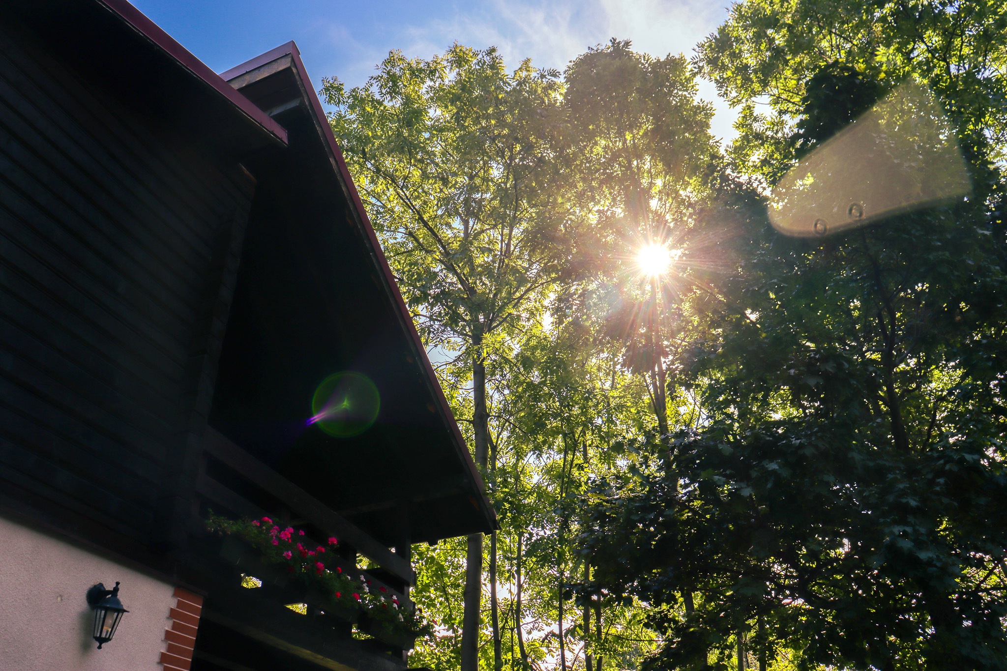 Sunlit garden with A-frame wooden structure among the trees