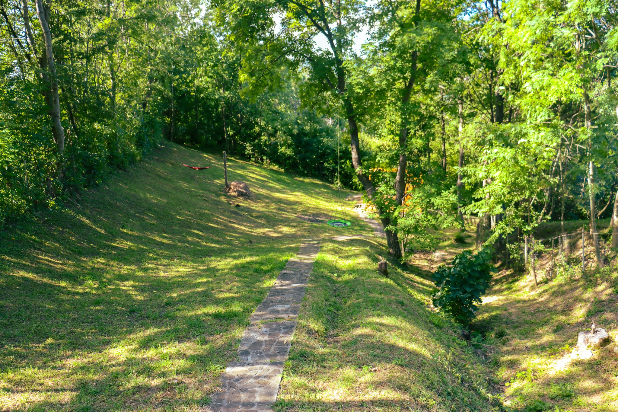 Green garden lawn with chalet visible in the background