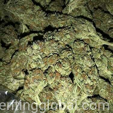 www.rentingglobal.com, renting, global, United Kingdom, health and care, Medical Marijuana 