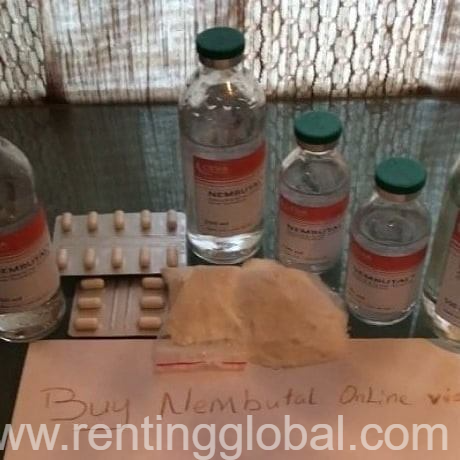 www.rentingglobal.com, renting, global, California City, CA, USA, #klonopin  #ativan  #dilaudid  #ambien  #oxycontin  #percocet  #roxicodone  #quaaludes - methaquallone pills  #heroin powder ...  #adderall  #crystal meth #4-mmc #mdma #buy actavis online cough syrup, nembutal pentobarbital sodium for sale without prescription.Text or call/whatsapp : +1(559) 376-8726