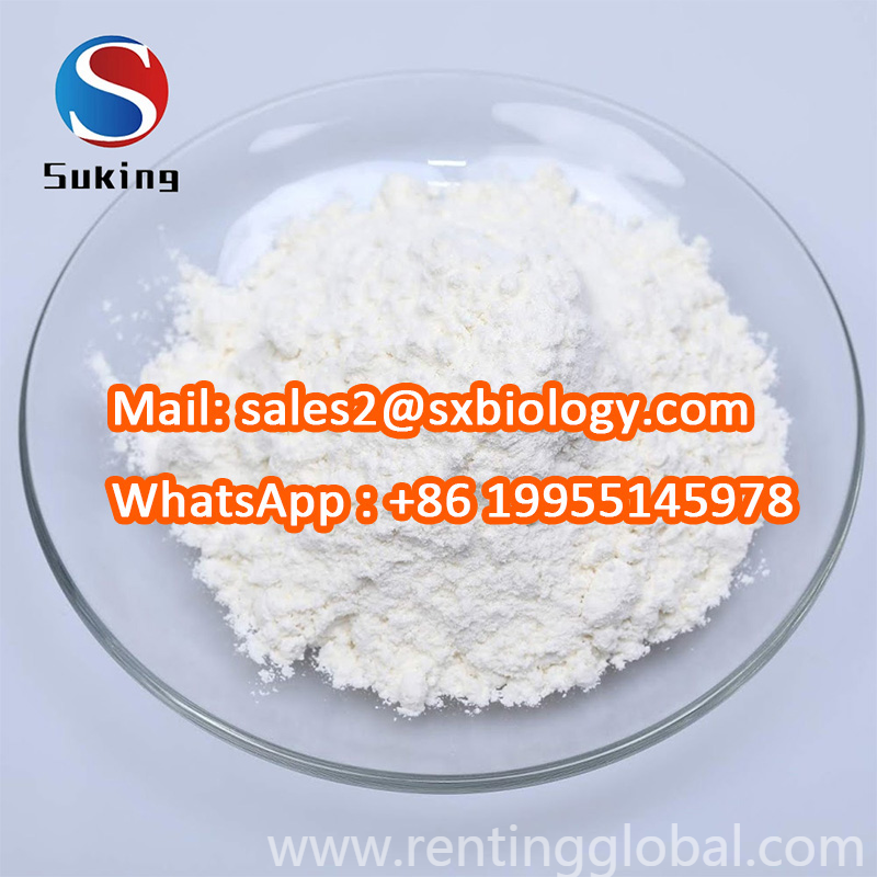 www.rentingglobal.com, renting, global, Shijiazhuang, Hebei, China, High Purity Pharmaceutical Intermediates 2-Phenylacetoacetate CAS 5413-05-8