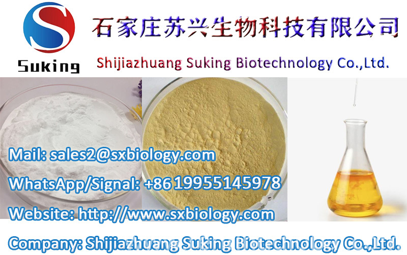 www.rentingglobal.com, renting, global, Shijiazhuang, Hebei, China, High Purity CAS 137350 66 4 5cladba Research Chemical Mmbcc