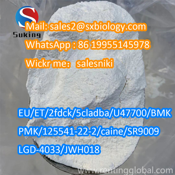 www.rentingglobal.com, renting, global, Shijiazhuang, Hebei, China, amphotericin b,1397-89-3, Antifungal Drug Amphotericin B 1397-89-3