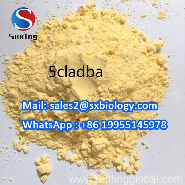 www.rentingglobal.com, renting, global, Santa Monica, CA, USA, China Supply Pmk Et Eutylon 2f 5cladba