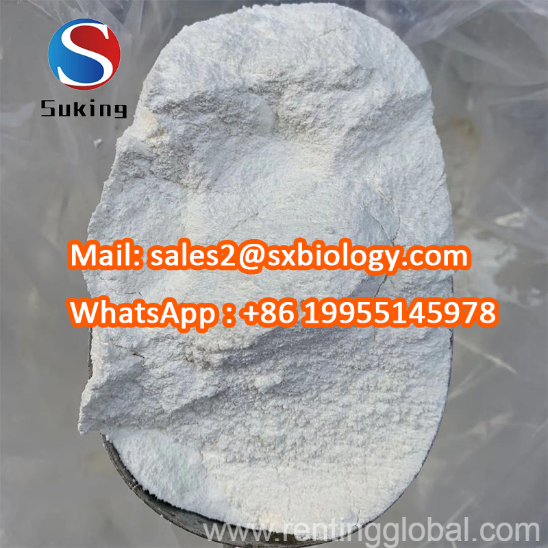 www.rentingglobal.com, renting, global, Sherman Oaks, Los Angeles, CA, USA, 2-Bromo-4-Methylpropiophenone CAS1451-82-7/49851-31-2/236117-38-7/288573-56-8