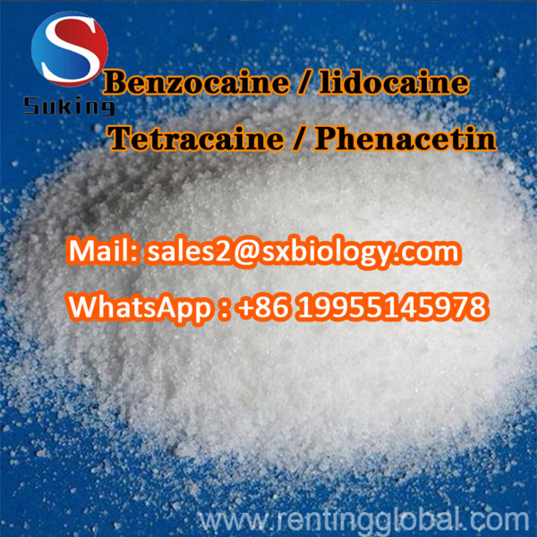 www.rentingglobal.com, renting, global, 815 S Hill St, Los Angeles, CA 90014, USA, CAS94-24-6 Tetracaine CAS137-58-6 lidocaine CAS94-15-5 Larocaine CAS62-44-2 Phenacetin sales2@sxbiology.com