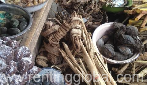 www.rentingglobal.com, renting, global, Polokwane Central, Polokwane, 0700, South Africa, SPELL CASTER [+27786380840]] ╬  SPIRITUAL HEALER   in WALIVIS BAY, HUAMBO, NDOLA, NAMPULA, ARUSHA, MAUN, OSHAKATI 