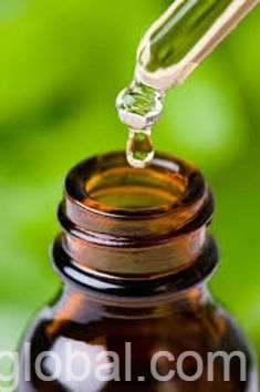 www.rentingglobal.com, renting, global, Polokwane Central, Polokwane, 0700, South Africa, Candle Love Spells +27786380840 SANGOMA in Guinea, Guinea-Bissau, Guyana, Haiti, Holy See
