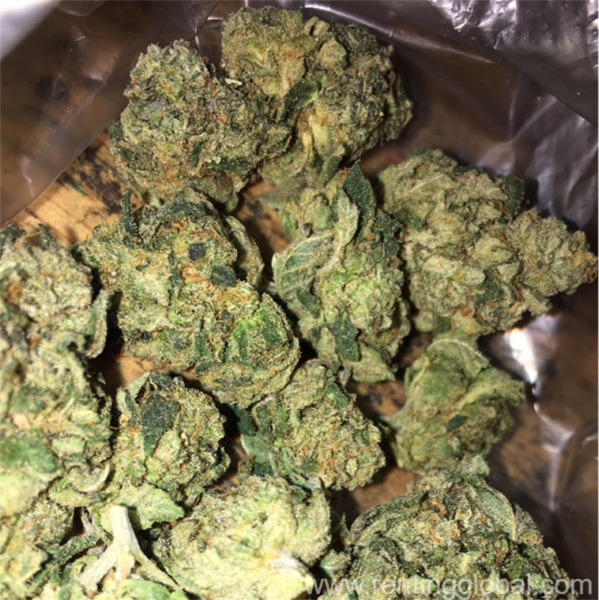 www.rentingglobal.com, renting, global, Denver, CO, USA, moon rock,girl scout cookies,ak-47,buba-kush,blue dream,blue berry,white widow,grand daddy, ORDER TOP QUALITY MEDICAL MARIJUANA ONLINE INFO AT +1(925)421-0418
