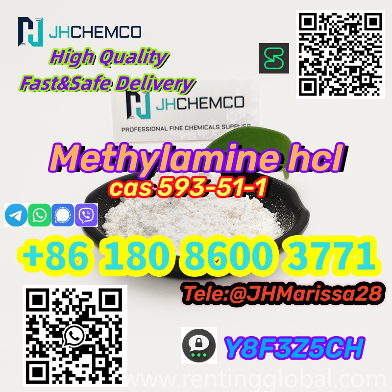 www.rentingglobal.com, renting, global, 430-0855, Japan, cas 593-51-1, CAS 593-51-1 Methylamine hydrochloride   Threema: Y8F3Z5CH		