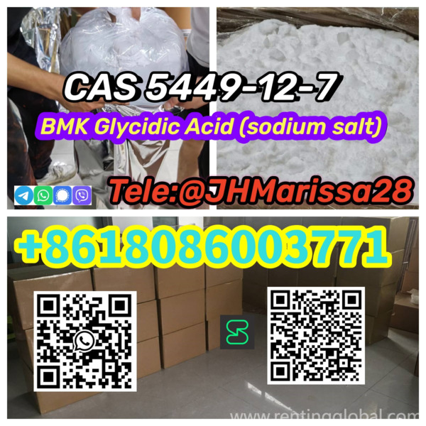 www.rentingglobal.com, renting, global, 453 S Spring St, Los Angeles, CA 90013, USA, bmk glycidic acid (sodium salt), High Quality Low Price CAS 5449-12-7 BMK Glycidic Acid (sodium salt) Threema: Y8F3Z5CH		